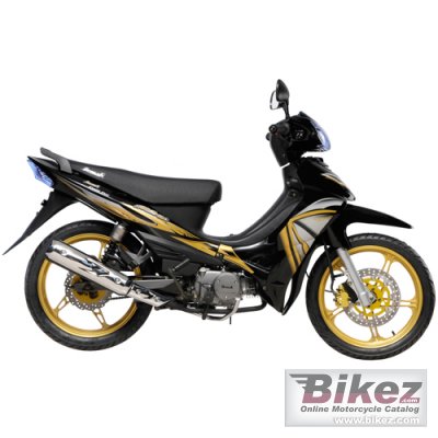 2011 Demak MS photo